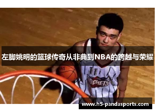 左脚姚明的篮球传奇从非典到NBA的跨越与荣耀