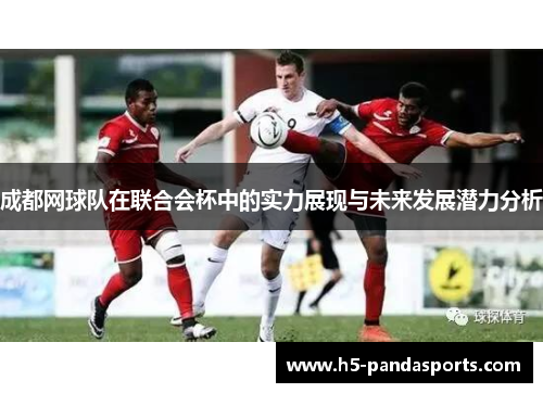 成都网球队在联合会杯中的实力展现与未来发展潜力分析