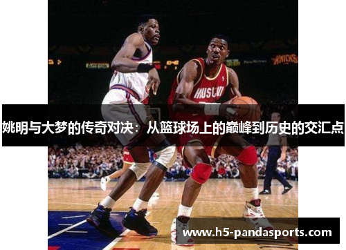 姚明与大梦的传奇对决：从篮球场上的巅峰到历史的交汇点