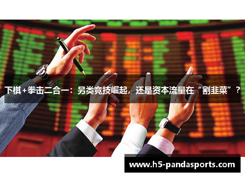 下棋+拳击二合一：另类竞技崛起，还是资本流量在“割韭菜”？